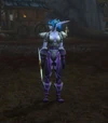 Night Elf Sentinel