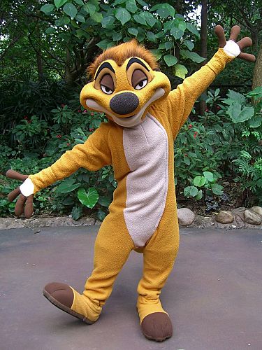 Timon_HKDL.jpg