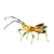 Item assassinbug 01