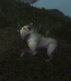 GilneanHound