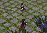 Vampiregnomes