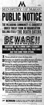 New-Deathly-Hallows-Ministry-of-Magic-banners-against-Death-Eaters-wall-art-posters-harry-potter-15977887-424-1000