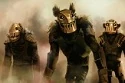 P-Anthropus