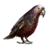 Kaka