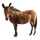 Item zorse 01