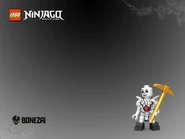 Bonezai poster