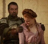 Ser-meryn