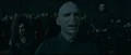 Voldy and Bella.jpg