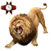 Item nemeanlion 02