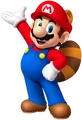 Raccoon Mario