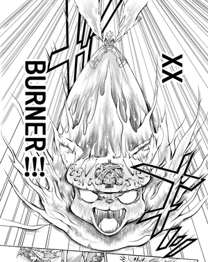 Full Power XX-Burner