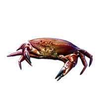 Huge item browncancercrab 01.png