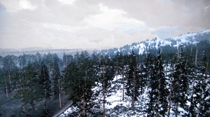 Rdr tall trees00