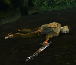 Laane-dead