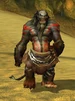 Chieftain Suroot