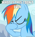 RainbowDash4