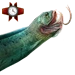 Item dragonfish 02