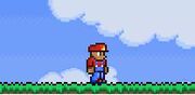 Plumber'soutfit