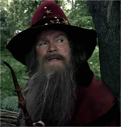Wizard leader