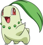 Chickorita image