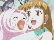 Images (3)