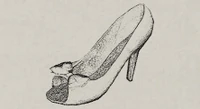 Theresa taraldsens shoe