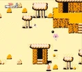 DesertPuar(DP)