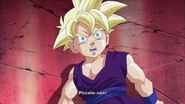 GohanInThePlanToEraditcateTheSaiyans