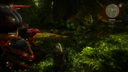 Tw2-queen-endrega-01