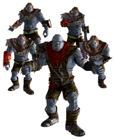 DavisonNightkin