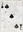 FNV 3 of Spades