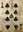 FNV 9 of Spades - Gomorrah