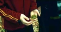 Branchiflore 2.jpg