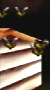 Bees