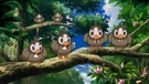 P13 Starly