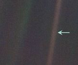 Bluedot