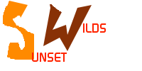 PiiWiiSunset