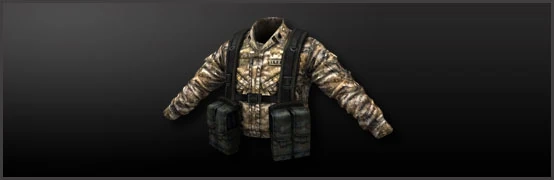 Main_desert_camo.jpg