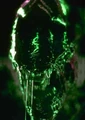 233px-Greenal