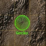 8kratekGecko