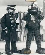Inspectorfort