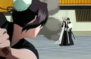Hitsugaya intervenes