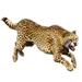 Item cheetah 01