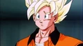 Goku.Ep.174