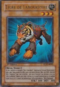 TestTiger-GLAS-FR-UR-1E