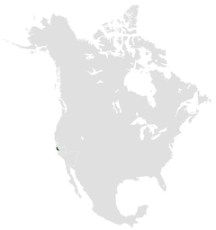 Map of Gauntletia