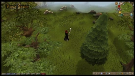 RuneScape site media 4
