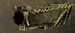 29 sturmkanon