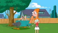Perry Contraption