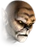 Headkintaro